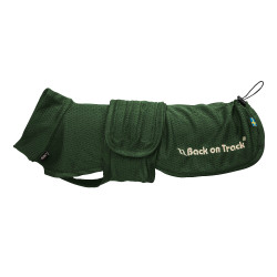 Maglia a rete per cane Buddy Back on Track Verde