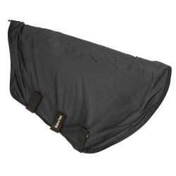 Collare Camicia Back on Track Filet Royal Deluxe Collare Camicia Back on Track Filet Royal Deluxe
