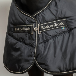 Fodera Rhyolite Back on Track Fodera Rhyolite Back on Track