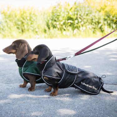 Manteau long pour chien Back on Track Buddy Manteau long pour chien Back on Track Buddy