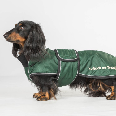 Cappotto lungo per cane Back on Track Buddy Verde Cappotto lungo per cane Back on Track Buddy Verde