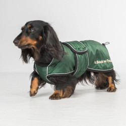Cappotto lungo per cane Back on Track Buddy Verde Cappotto lungo per cane Back on Track Buddy Verde