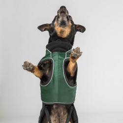 Cappotto lungo per cane Back on Track Buddy Verde Cappotto lungo per cane Back on Track Buddy Verde