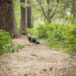 Cappotto lungo per cane Back on Track Buddy Verde Cappotto lungo per cane Back on Track Buddy Verde