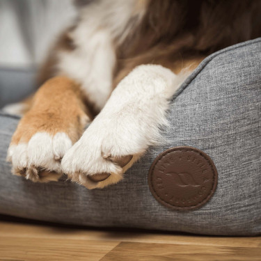 Cesta per Cane Rocky Back on Track Grigio Cesta per Cane Rocky Back on Track Grigio