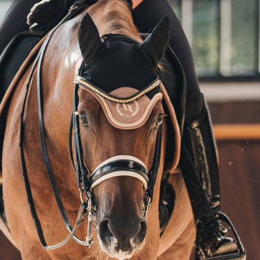 Cuffia per cavallo Night Collection Back On Track Torrone Marrone