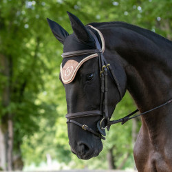 Cuffia per cavallo Night Collection Back On Track Torrone Marrone