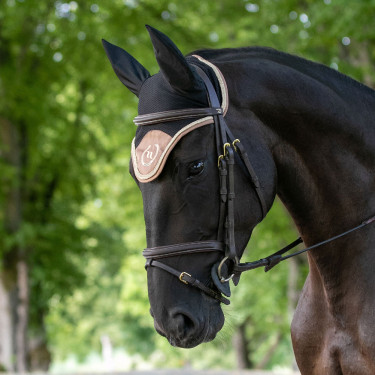 Cuffia per cavallo Night Collection Back On Track Torrone Marrone