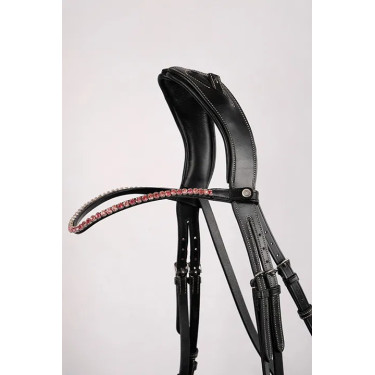Frontalino Montar Fair crystal rose curvo Frontalino Montar Fair crystal rose curvo