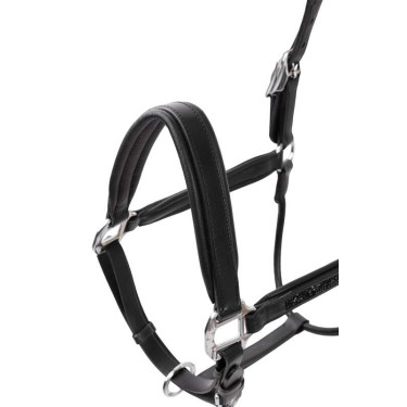 Capestro in cuoio Horze Delémont Nero