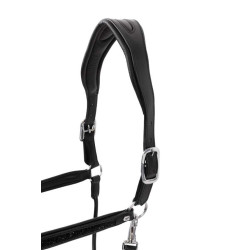 Capestro in cuoio Horze Delémont Nero