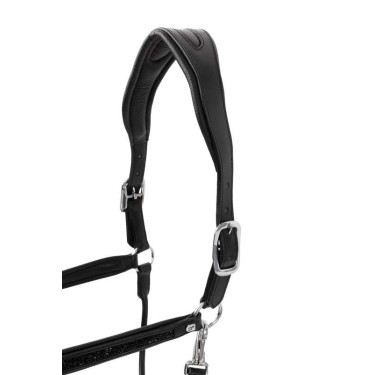 Capestro in cuoio Horze Delémont Nero