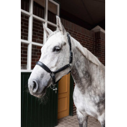 Capestro in cuoio Horze Delémont Nero