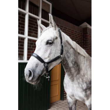 Capestro in cuoio Horze Delémont Nero