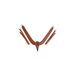 Collare da Petto Buckaroo Border Stamp Pool's