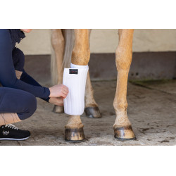 Sottobanda Covalliero Kerbl Bianco