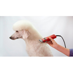 Tosatrice Favorita Speed Aesculap Rosso