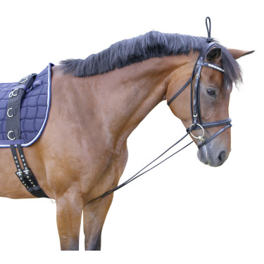 Redine elastica Covalliero Nero