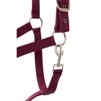 Set cavezza Horze Eternal Gaze Pozione viola Set cavezza Horze Eternal Gaze Pozione viola