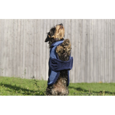 Coperta per cane Equithème New Market Coperta per cane Equithème New Market