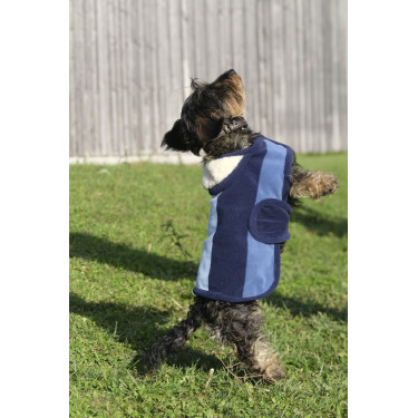 Coperta per cane Equithème New Market Coperta per cane Equithème New Market