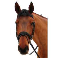 Briglia Canter Mylord Nero / nero Briglia Canter Mylord Nero / nero