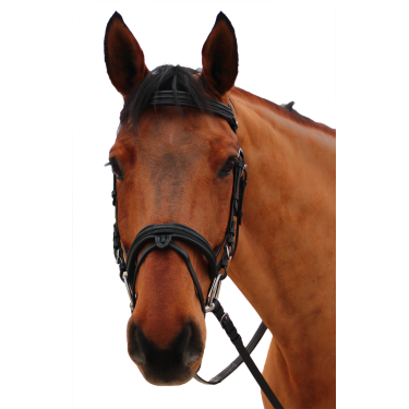 Briglia Canter Mylord Nero / nero