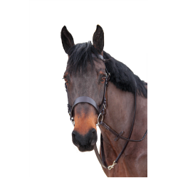 Redini intrecciate Canter