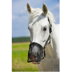 Paranaso in rete anti-mosche