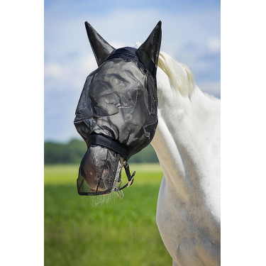 Paranaso in rete anti-mosche