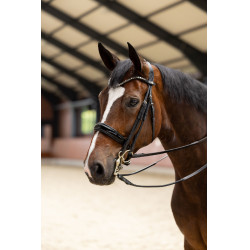 Briglia Glamourdale Weymouth Horze Nero