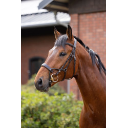 Bridon Chio Horze Cognac Marrone