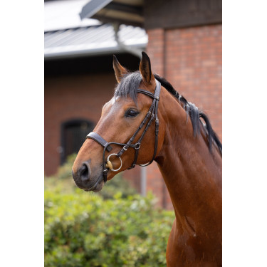 Bridon Chio Horze Cognac Marrone