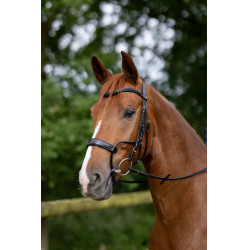 Bridon Chio Horze Nero