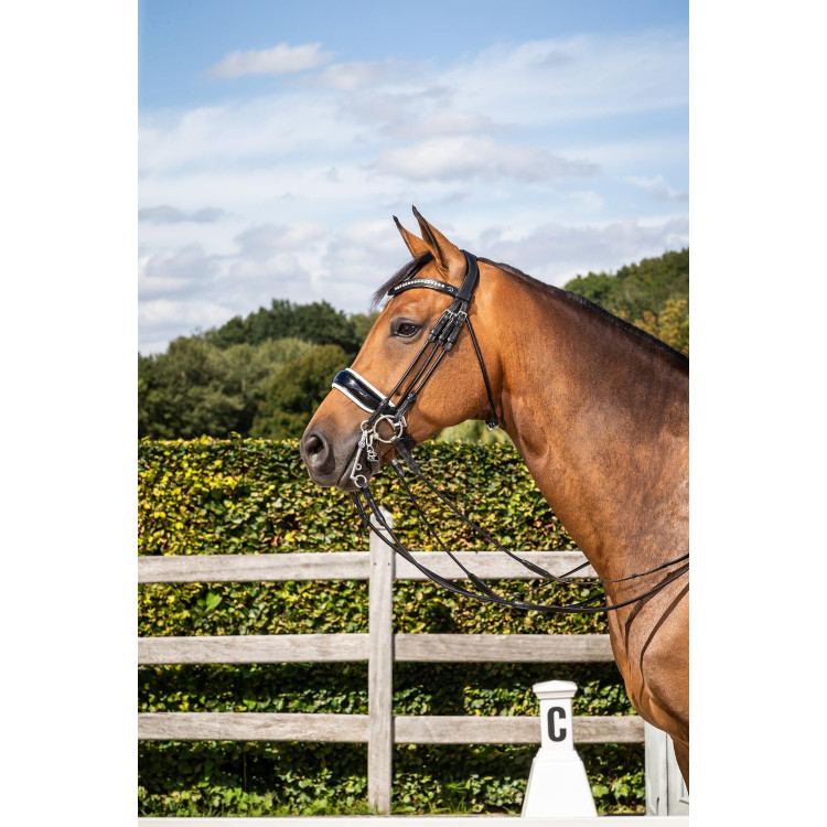 Briglia Capezzina Larga Lucida Fodera Bianca Collezione Dressage Dy'on cuoio tondo