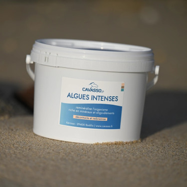 Alghe Premium Intense Cavasso