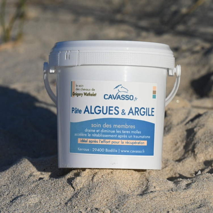 PASTA DI ALGHE-ARGILLA