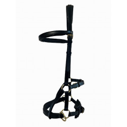 Side-pull in cuoio T de T