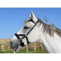 Side-pull in cuoio T de T Nero