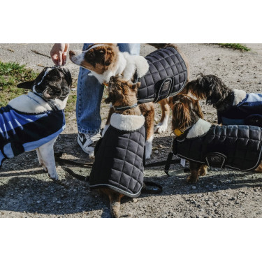 Coperta per cane Equithème New Market Coperta per cane Equithème New Market