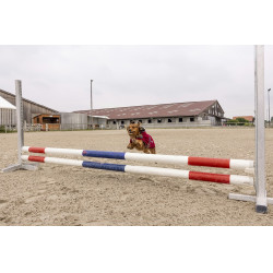 Coperta in pile Diego & Louna Teddy Coperta in pile Diego & Louna Teddy
