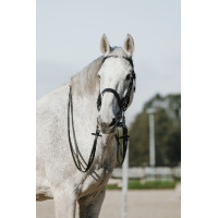 Bride Riding World Nero