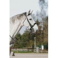 Bride Riding World Nero