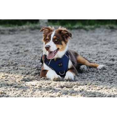 Pettorina per cane Riding World Simba Pettorina per cane Riding World Simba