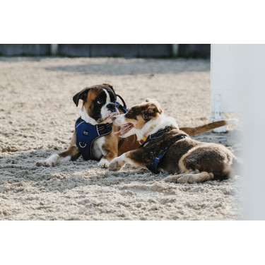 Pettorina per cane Riding World Simba Pettorina per cane Riding World Simba