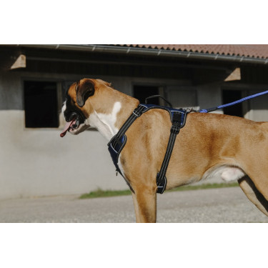 Pettorina per cane Riding World Simba Pettorina per cane Riding World Simba