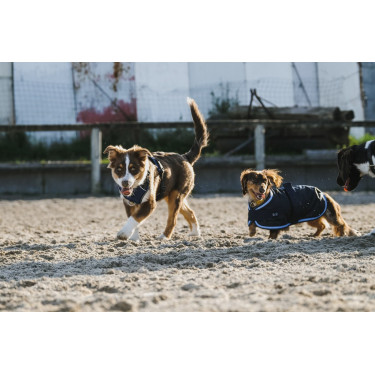 Pettorina per cane Riding World Simba Pettorina per cane Riding World Simba