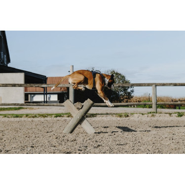 Pettorina per cane Riding World Simba Pettorina per cane Riding World Simba