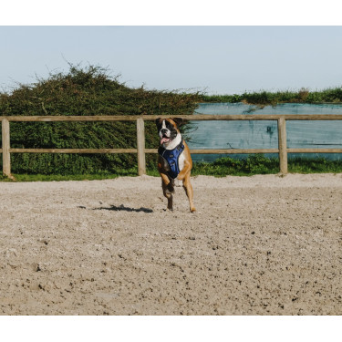 Pettorina per cane Riding World Simba Pettorina per cane Riding World Simba