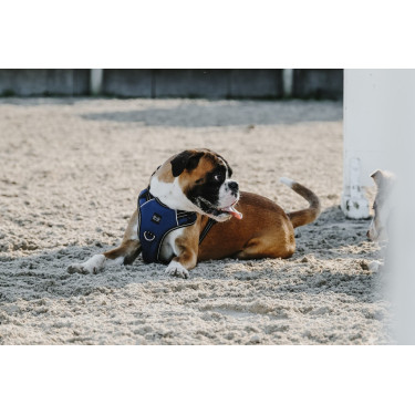 Pettorina per cane Riding World Simba Pettorina per cane Riding World Simba